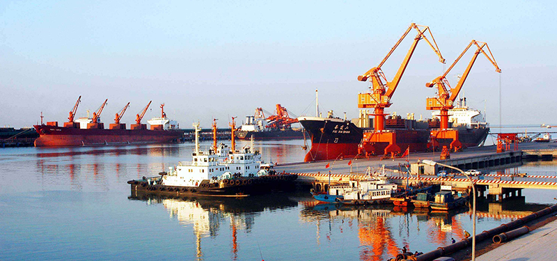 央視二套記者探訪鵬飛智能裝車系統(tǒng)助力經(jīng)濟發(fā)展